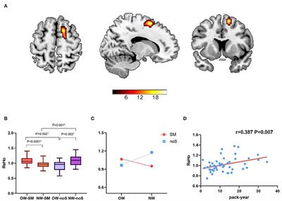 Weight Status Modulated Brain Regional Homogeneity in Long-Term Male Smokers